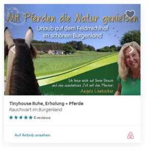 Tinyhouse Urlaub am Pferdehof, 2 Schlafzimmer · 4 Betten · 1 Badezimmer